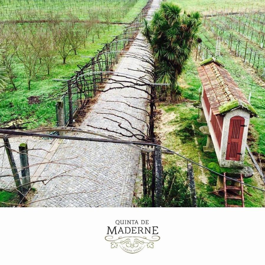 Quinta De Maderne Villa Felgueiras Exterior photo